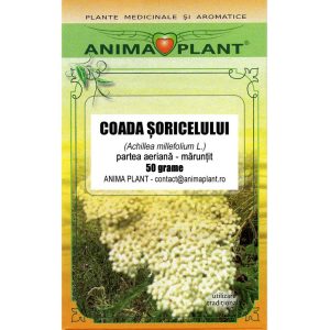 Coada soricelului