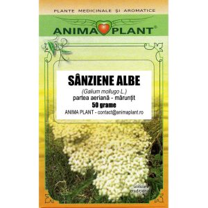 Sanziene albe