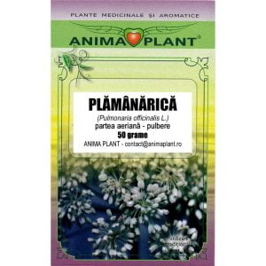 Plamanarica