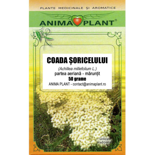 Coada soricelului