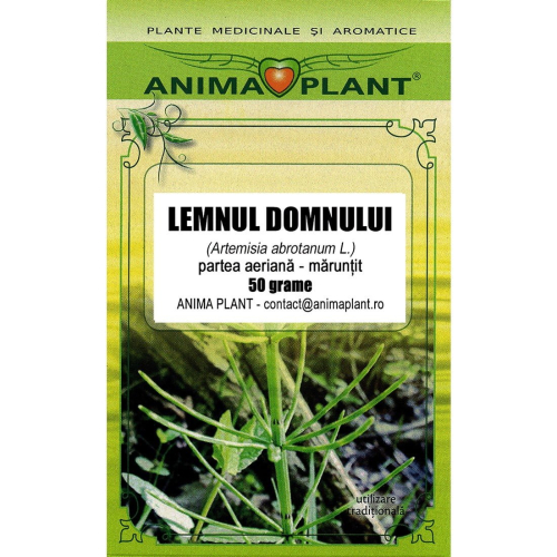 Lemnul Domnului