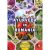 Ayurveda in Romania Vol. 2 Engleza