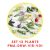 Set 12 plante – PMA-DRW-VIR-V01